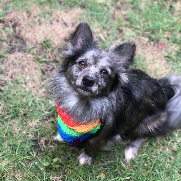 Crocheted Rainbow Bandana For Pets - Picture 2 of 5